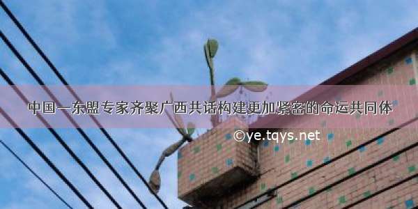 中国—东盟专家齐聚广西共话构建更加紧密的命运共同体