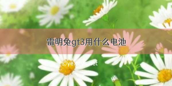 雷明兔gt3用什么电池