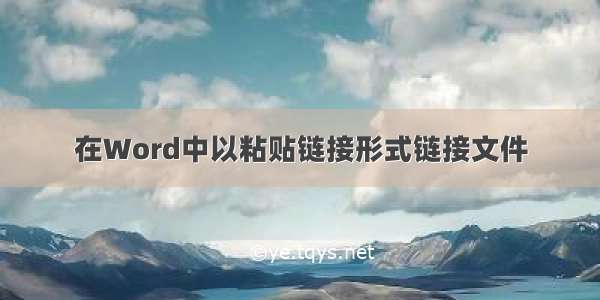 在Word中以粘贴链接形式链接文件