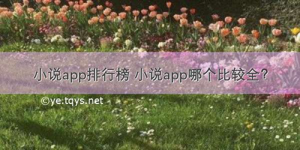 小说app排行榜 小说app哪个比较全？