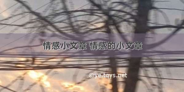 情感小文章 情感的小文章