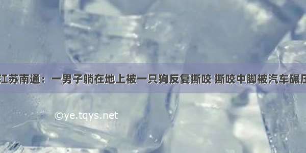 江苏南通：一男子躺在地上被一只狗反复撕咬 撕咬中脚被汽车碾压