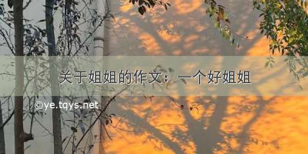 关于姐姐的作文：一个好姐姐