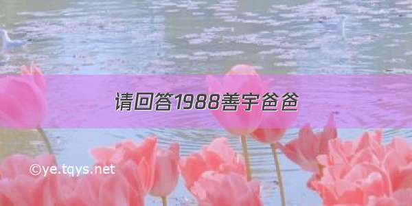 请回答1988善宇爸爸