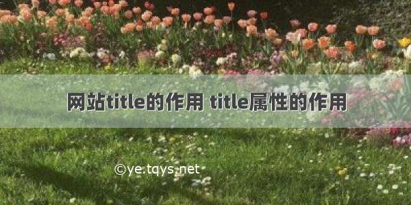 网站title的作用 title属性的作用