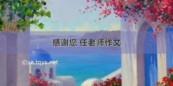 感谢您 任老师作文