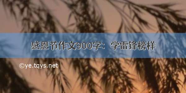 感恩节作文900字：学雷锋榜样