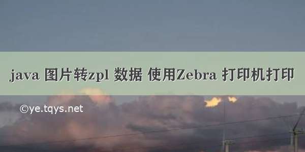 java 图片转zpl 数据 使用Zebra 打印机打印