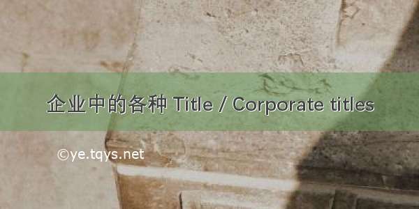 企业中的各种 Title / Corporate titles