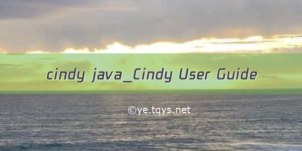 cindy java_Cindy User Guide