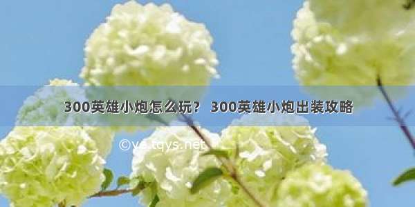 300英雄小炮怎么玩？ 300英雄小炮出装攻略