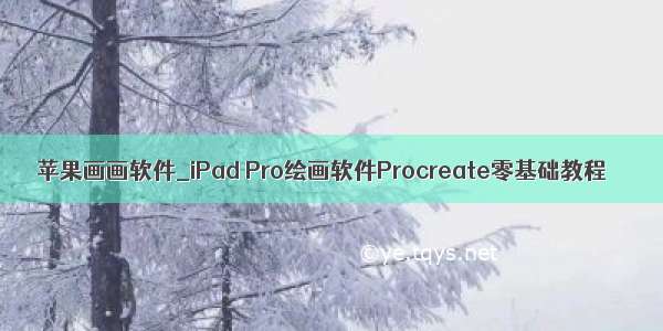 苹果画画软件_iPad Pro绘画软件Procreate零基础教程
