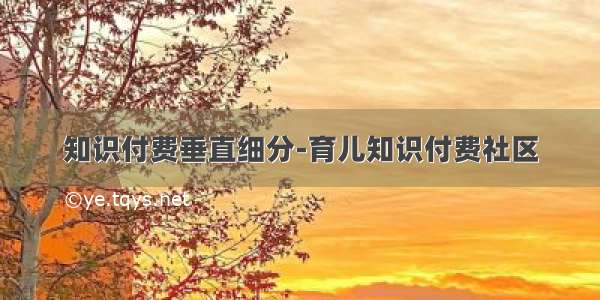 知识付费垂直细分-育儿知识付费社区