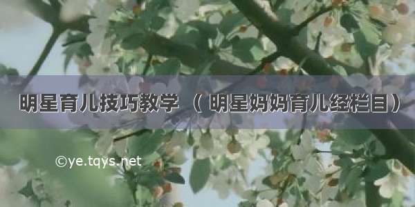 明星育儿技巧教学 （ 明星妈妈育儿经栏目）