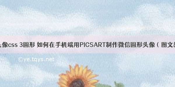 微信头像css 3圆形 如何在手机端用PICSART制作微信圆形头像（图文教程）