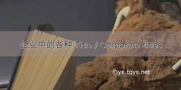 企业中的各种 Title / Corporate titles