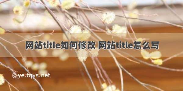 网站title如何修改 网站title怎么写