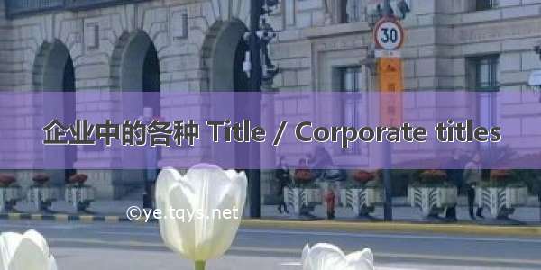 企业中的各种 Title / Corporate titles