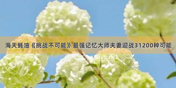 海天蚝油《挑战不可能》最强记忆大师夫妻迎战31200种可能