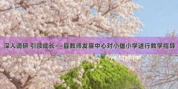 深入调研 引领成长——县教师发展中心对小雄小学进行教学指导