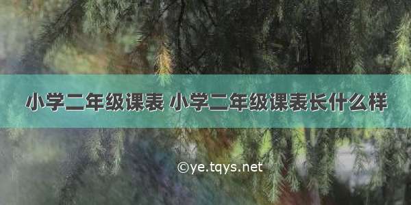 小学二年级课表 小学二年级课表长什么样