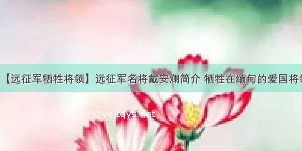 【远征军牺牲将领】远征军名将戴安澜简介 牺牲在缅甸的爱国将领