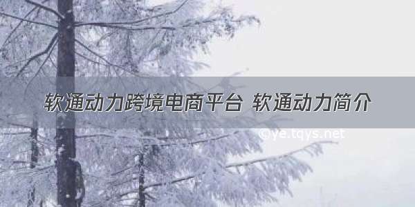 软通动力跨境电商平台 软通动力简介