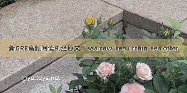 新GRE高频阅读机经原文：sea cow  sea urchin  sea otter