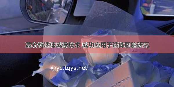 高分辨活体成像技术 成功应用于活体胚胎研究