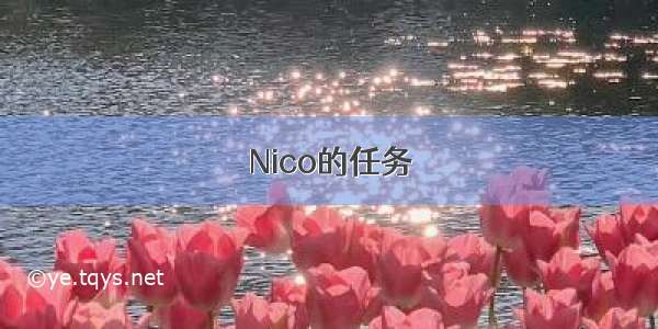 Nico的任务