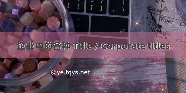 企业中的各种 Title / Corporate titles