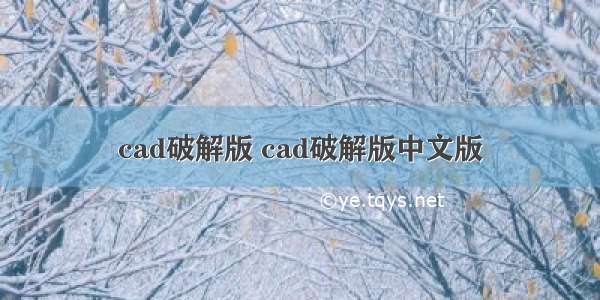 cad破解版 cad破解版中文版