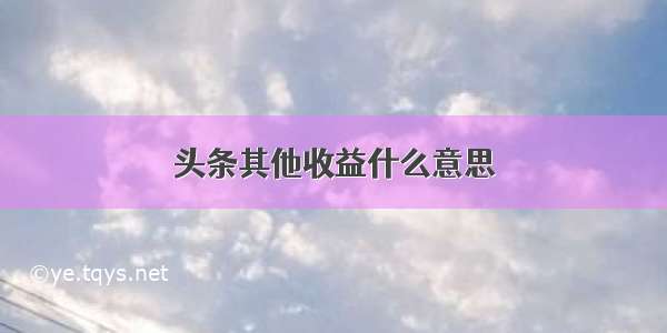 头条其他收益什么意思