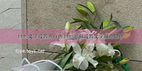 html文字设置为白色 html如何设置文字颜色白色