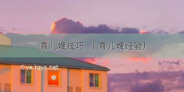 育儿嫂技巧 （ 育儿嫂经验）