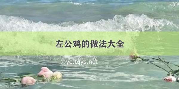 左公鸡的做法大全