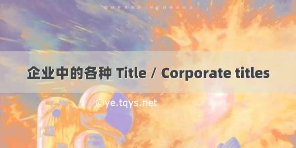 企业中的各种 Title / Corporate titles