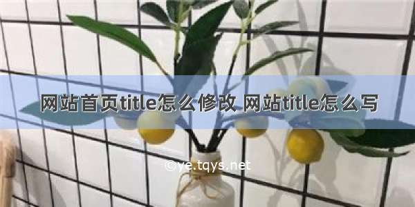 网站首页title怎么修改 网站title怎么写