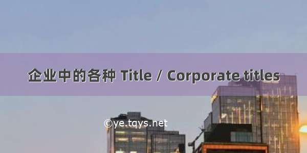 企业中的各种 Title / Corporate titles