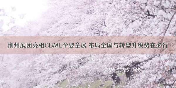 荆州展团亮相CBME孕婴童展 布局全国与转型升级势在必行