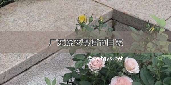 广东综艺粤语节目表