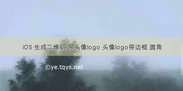 iOS 生成二维码 带头像logo 头像logo带边框 圆角