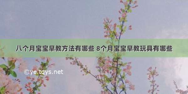 八个月宝宝早教方法有哪些 8个月宝宝早教玩具有哪些