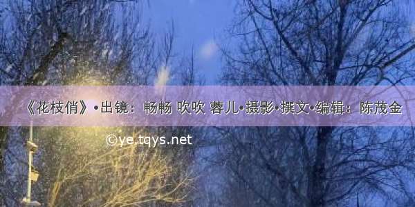 《花枝俏》•出镜：畅畅 吹吹 蓉儿•摄影•撰文•编辑：陈茂金