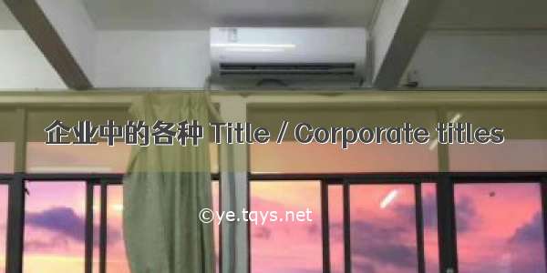 企业中的各种 Title / Corporate titles