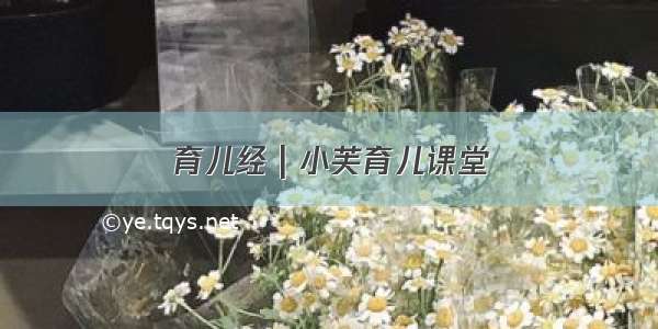 育儿经 | 小芙育儿课堂