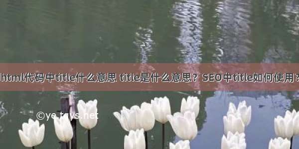 html代码中title什么意思 title是什么意思？SEO中title如何使用？