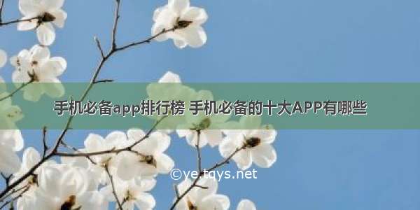 手机必备app排行榜 手机必备的十大APP有哪些