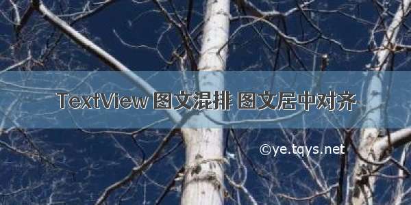 TextView 图文混排 图文居中对齐