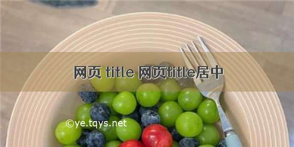 网页 title 网页title居中